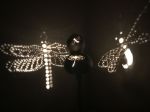 Picture of Dragonfly with gems