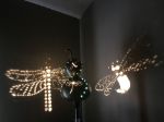 Picture of Dragonfly with gems