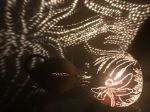 Picture of Dragonfly in the Swamp
