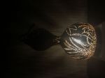 Picture of Dragonfly in the Swamp