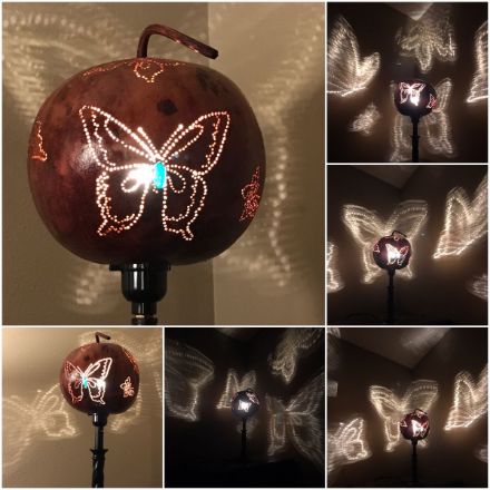 Picture of Butterflies