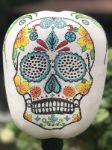 Picture of Skull Candy Aqua