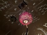 Picture of Holiday Bells