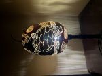 Picture of Sea Turtles
